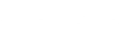 Projective Group